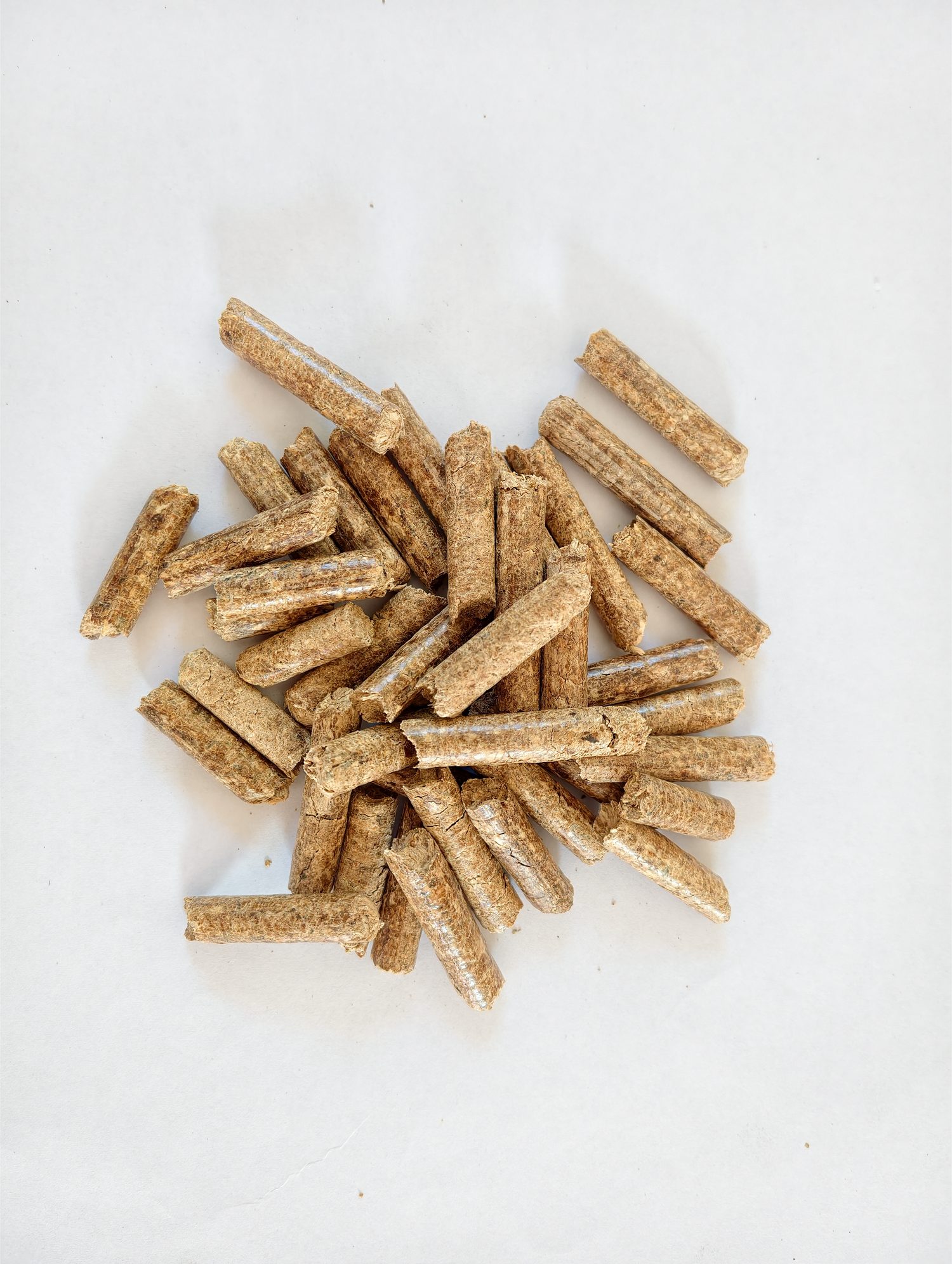 Grade A rubberwood biomass pellet product
