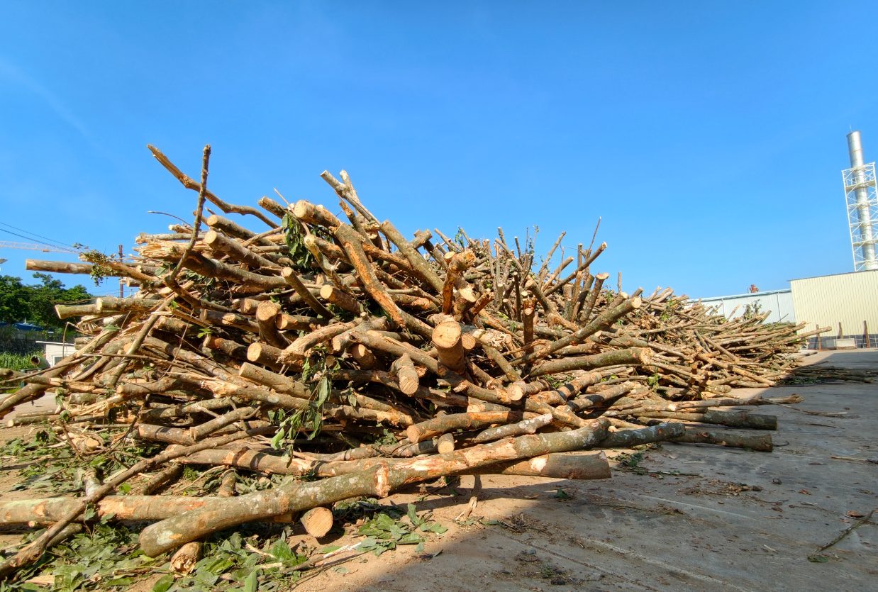 Raw material storage area
